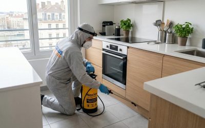entreprise éradication cafards et blattes